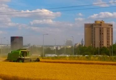 La compensation agricole collective représente un levier de premier choix pour inciter les aménageurs à limiter leur consommation de foncier agricole (image d’archives). 