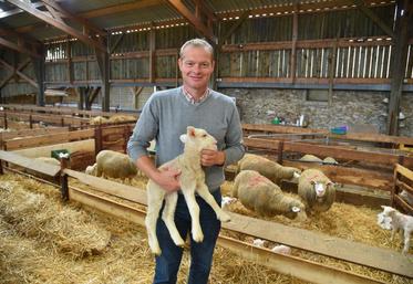 Saint-Barthélémy, jeudi 14 septembre. Nicolas Roch est éleveur d’ovins de race Ile-de-France. Il commercialise en direct soit en caissette, soit des carcasses entières.