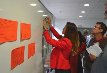 Un mur de petites annonces a permis aux participants d’afficher leurs offres ou leurs recherches (photo : Bio Centre)