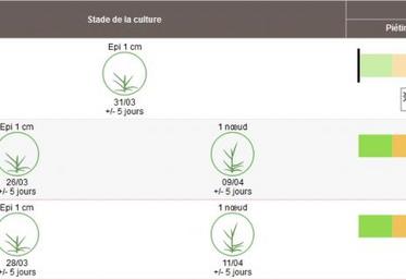 L’outil d’aide à la décision Optiprotect est intégré à Mes parcelles. Il permet de modéliser les prévisions d’apparition des stades clés du blé tendre ainsi que les risques des principales maladies.
