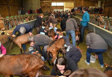Le 15 avril, à Rueil-la-Gadelière. Les éleveurs Charlotte et Ladislas Lesniak ont organisé un concours de traite de leurs chèvres, lors des portes ouvertes du réseau Bienvenue à la ferme.