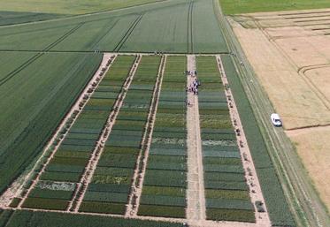 Située cette année à Prunay-le-Temple (Yvelines), la plate-forme ouest sera ouverte aux agriculteurs le 5 juin.