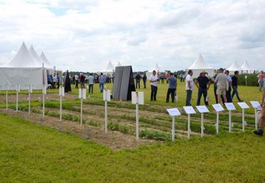 Le 30 mai, à Arrou. Rompant avec les classiques visites d’essais, le groupe Axéréal a proposé Terre de challenges, plus ludique et interactif.