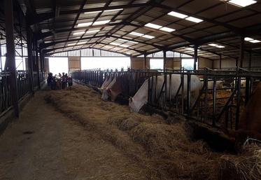 Le 3 juin dernier, près de 400 personnes se sont régalées autour d’une bonne entrecôte-frites chez Isabelle et Stéphane Turbeaux, éleveurs de bovins à Vallières-les-Grandes.