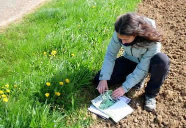 Laura Moutfi a étudié ainsi environ trente neuf kilomètres de bordures pour en caractériser le type, établir un diagnostic et proposer des préconisations.