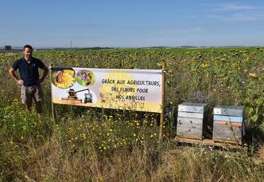 Le Plessis-Placy, mercredi 1er août. Le président du canton de Lizy-sur-Ourcq, Jean-Baptiste Benoist, présente un exemple de jachère mellifière et de ruches implantées à proximité d’axes routiers.