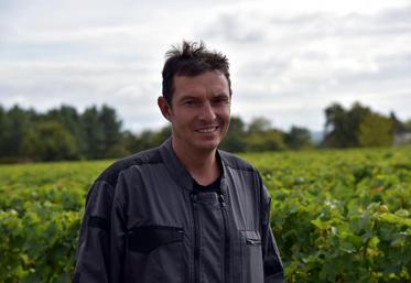 Le 7 septembre à Monthou-sur-Cher. Sourire aux lèvres, Cyril Desloges est un vigneron fier de son métier qui attend de 2018 un très beau millésime.