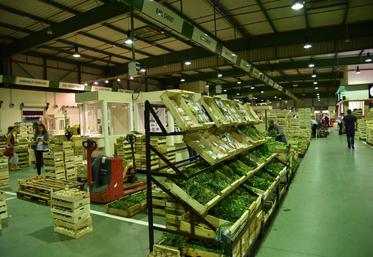 Les producteurs franciliens ont rendez-vous vendredi 19 octobre à Rungis. Inscriptions dès maintenant. (Photo d’archives)