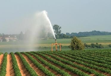 En 2018, les volumes consommés pour l’irrigation sont à déclarer à l’Organisme Unique Nappe de Beauce et non plus à la DDT.