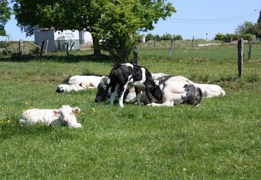 Photo d'illustration