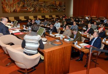 Le 26 novembre, à Chartres. L’ultime session des membres de la chambre d’Agriculture s’est longuement consacrée aux impasses du désherbage en Eure-et-Loir.