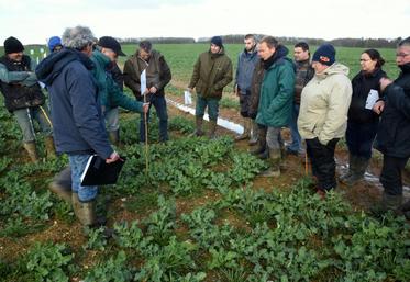 Le 11 mars, à Saint-Ange-et-Torçay. Les agriculteurs présents ont pu constater l’efficacité de nouveaux produits de désherbage en post-levée sur colza, avec la Chambre et Terres inovia.