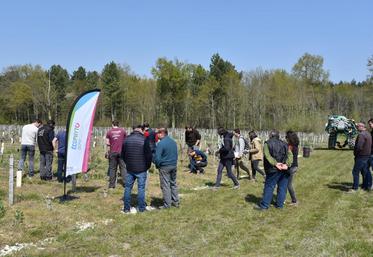 Le 12 avril à Meusnes. Travail du sol et engrais verts ont été les deux sujets abordés lors de l’après-midi technique, organisée par les groupes GIEE-Dephy-30.000 de la chambre d’Agriculture de Loir-et-Cher.