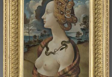 Portrait de Simonetta Vespucci, Piero di Cosimo ( © RMN - Grand Palais, Domaine de Chantilly - Adrien Didierjean)