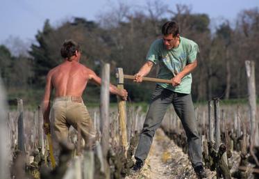 Le compte pénibilité prévoit la prise en compte de facteurs de pénibilité et de risques professionnels.
