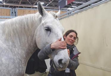 Estelle Mulowsky, éleveuse de chevaux percherons à Couëtron-au-Perche, avec Edène de la Haize, jument de 6 ans montée et attelée.
