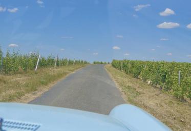 La visite de domaines viticoles figure au programme.