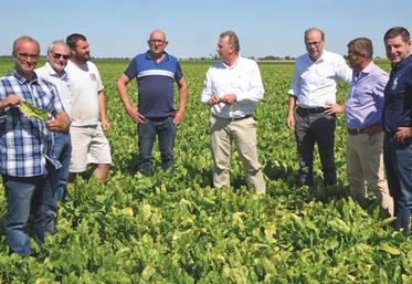 Les responsables de Cristal Union, son président Olivier de Bohan en tête (au c.) sont venus à la rencontre de planteurs du secteur de Toury chez Éric Delorme (à g.).
