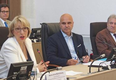 Marie-Anne Montchamp, Nicolas Perruchot et Yves Rousset (de g. à d.), lors de l’ouverture du grand débat de la santé en Loir-et-Cher.