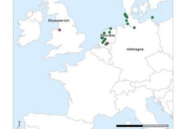 Foyers et cas d’influenza aviaire hautement pathogène (IAHP) en Europe à la date du 4 novembre 2020.