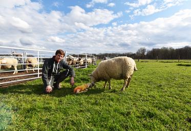  Louis-Xavier de Laage, une brebis et son agneau tout juste né.