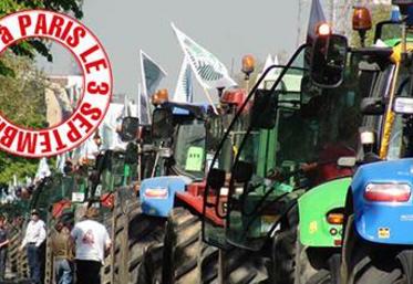 Action du 6 décembre 2013 : GMS Gien - Enlèvement de produits Lactalis des rayons.