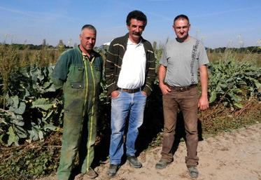 L’an dernier, 350 ha ont été travaillés au déchaumeur à dents. Celui-ci est équipé d’un semoir pour les Cipan, tout comme le déchaumeur à disques.