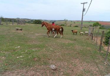 Les agriculteurs riches au Brésil détiennent une vaste propriété