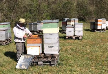 Noé Gaschaud auprès de ses ruches.