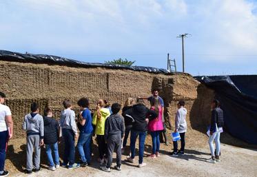 Didier Doreau a reçu 5 classes de 6e sur son exploitation