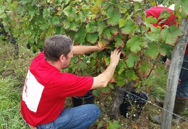 Valérie Deneufbourg, président du syndicat des vins AOC en pleine action !