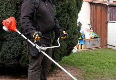 Le taillage de thuyas et de cyprès chez un particulier.