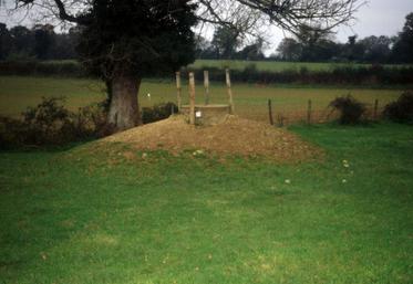 En retenant l’hypothèse d’un taux de 10 % d’implantation de ces cultures énergétiques lignocellulosiques sur ces ces zones spécifiques de captage en France, le potentiel est de 180 000 hectares.