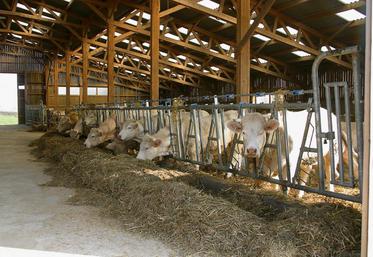 Le mode de distribution, un élément clé dans le rationnement.