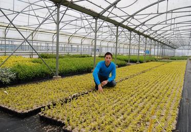 David Long, responsable de la pépinière les Trois Chênes