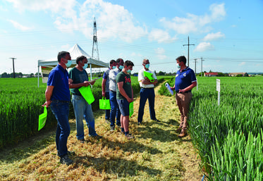 À Mondreville (Yvelines), jeudi 3 juin. Toute la matinée, les conseillers ­techniques de la chambre d’Agriculture se sont employés à décrypter les essais pour les agriculteurs. 