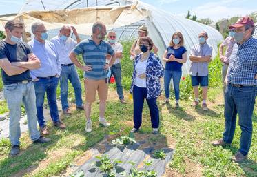 Le 10 juin, à Baigneaux. L'exploitation de Pierre Vanneau (4e à g.) a servi de cadre à la visite de la présidente de la FNSEA, Christiane Lambert (au c.), qui a réaffirmé le soutien du syndicat à l'agriculture biologique et à sa commission départementale présidée par Laurent Barrey (à g.).
