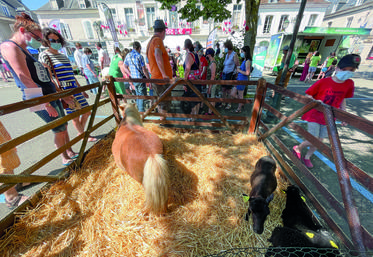 Le 13 juin, à Châteaudun. L'irrigation est un sujet important mais les animaux sont indispensables à la réussite de Plus belle la campagne.