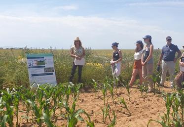 Le 16 juin 2021. Présentation du mélange Pollifauniflor.