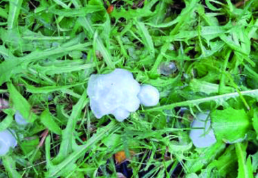 Dans le secteur d'Étampes, des grêlons de 2 à 6 cm de diamètre sont tombés samedi 19 juin en fin d'après-midi.