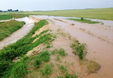 Parcelle inondée en Seine-et-Marne après un orage le 19 juin 2021.