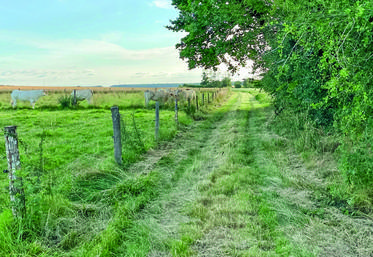 Chemin de promenade qui suit les traces de Marcel Proust autour de Combray, inauguré le 10 juillet 2021.
