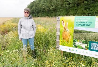 Le 13 juillet, à Villampuy. La Fnams* et son ingénieur Élise Morel ont étudié un mélange de graines pour jachères fleuries, compatible avec la multiplication de semences.