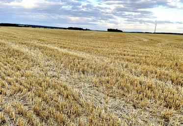 Chaumes. Photo d'illustration.