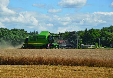 La moisson francilienne a enfin pu débuter. Les premiers résultats sont corrects malgré quelques critères qualité dégradés en raison de l'importante pluviométrie de ces dernières semaines.