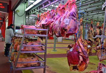 La Semmaris a ouvert un appel à idées pour son futur site val-d'oisien. Rendez-vous jusqu'au 30 septembre sur www.agoralim.fr