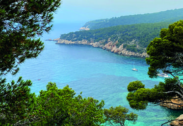 Magnifique vue depuis le sentier des vignes de Bandol.