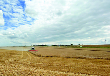 En dépit de terres détrempées, les premières éclaircies début juillet ont permis le lancement de la récolte en Eure-et-Loir.