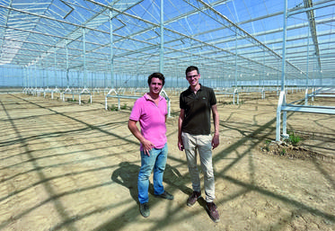Alexandre et Florent Besnard portent un projet ambitieux : produire des tomates cerises qui ont du goût tout en respectant leurs valeurs sociales et environnementales.
