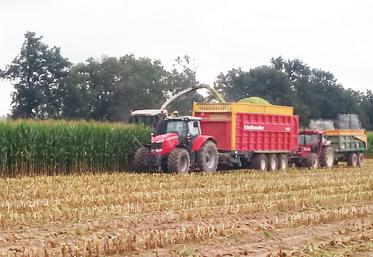 Au Gaec Vaucher, à Muides-sur-Loire, les ensilages de maïs ont démarré ­mercredi 15 septembre.